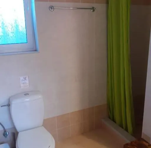 Phyllida - M2 Zacharo